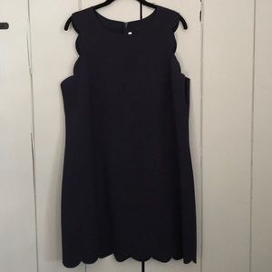 Jcrew navy scalloped shift dress